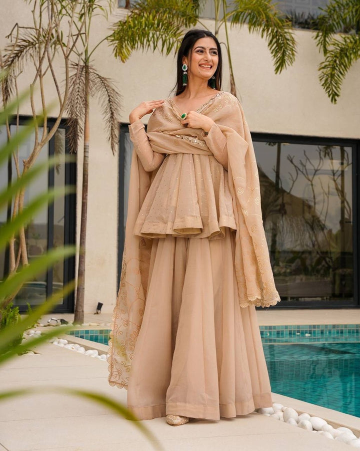 Chiku Colour Organza Kediya Style Dress | Festive & Traditional Wear